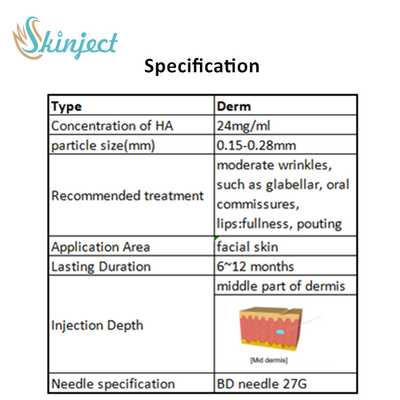 Skinject 2ml Çapraz Bağlı Hyaluronik Asit Dudak Dolguları Enjekte Edilebilir